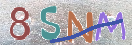 Εικόνα CAPTCHA