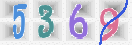 Εικόνα CAPTCHA
