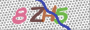 Εικόνα CAPTCHA
