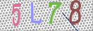 Εικόνα CAPTCHA