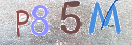 Εικόνα CAPTCHA