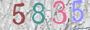 Εικόνα CAPTCHA