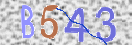 Εικόνα CAPTCHA