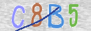 Εικόνα CAPTCHA