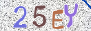Εικόνα CAPTCHA