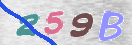 Εικόνα CAPTCHA