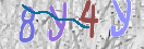 Εικόνα CAPTCHA