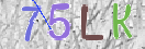Εικόνα CAPTCHA