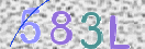 Εικόνα CAPTCHA