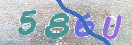 Εικόνα CAPTCHA