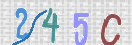 Εικόνα CAPTCHA