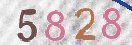 Εικόνα CAPTCHA