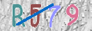 Εικόνα CAPTCHA