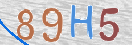 Εικόνα CAPTCHA