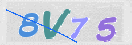 Εικόνα CAPTCHA