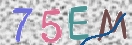 Εικόνα CAPTCHA