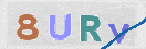Εικόνα CAPTCHA