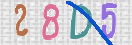 Εικόνα CAPTCHA