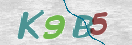 Εικόνα CAPTCHA