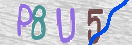 Εικόνα CAPTCHA