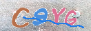 Εικόνα CAPTCHA