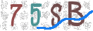 Εικόνα CAPTCHA