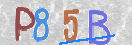Εικόνα CAPTCHA