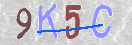 Εικόνα CAPTCHA