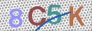 Εικόνα CAPTCHA