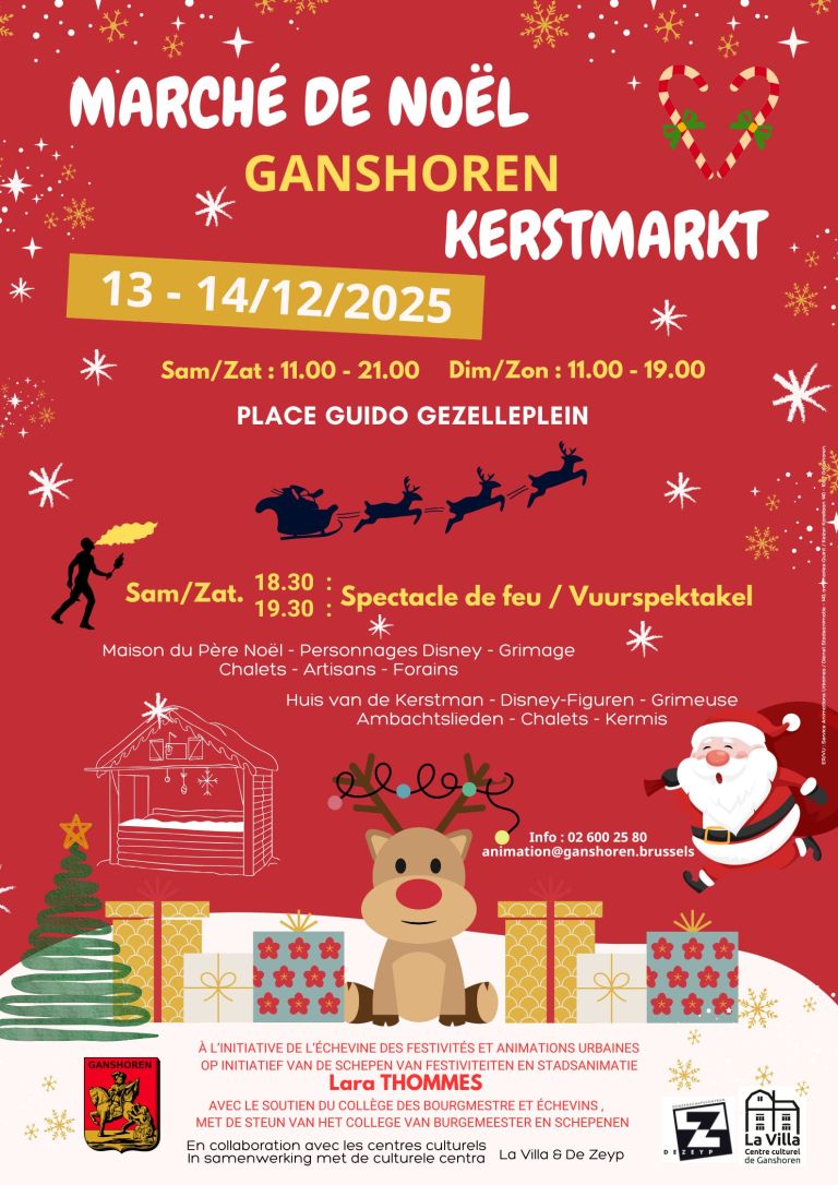 affiche-a3-marche-de-noel-768x1086